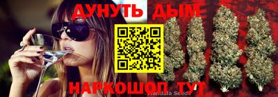 крисы Ярославль