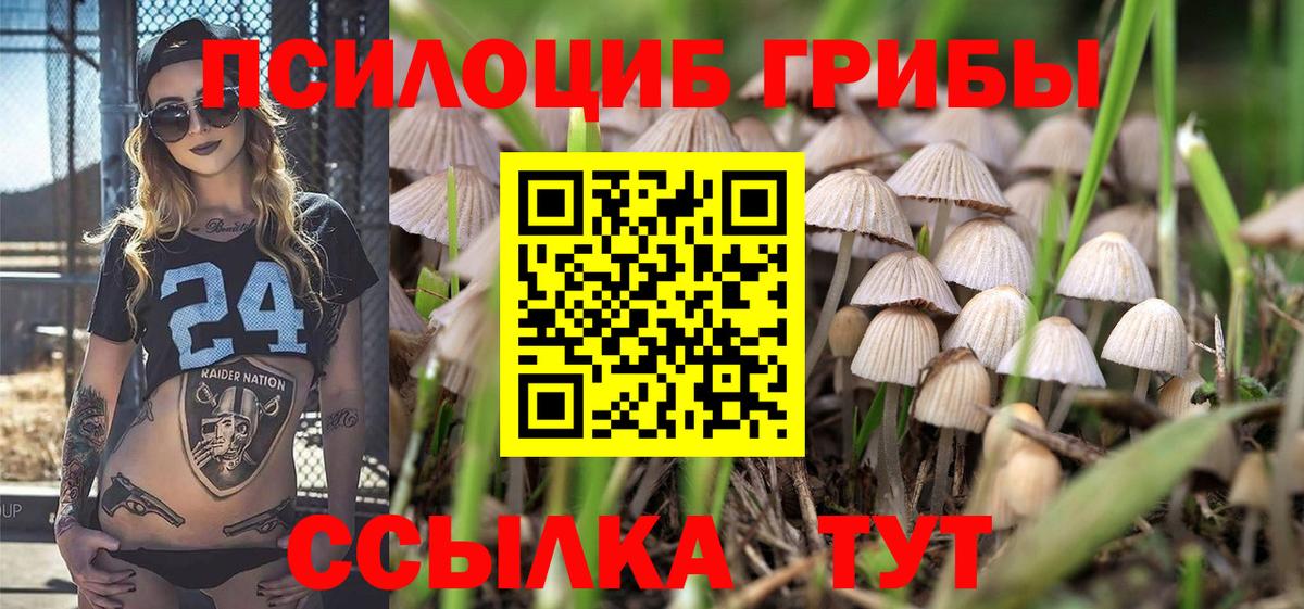Псилоцибиновые грибы мицелий Клин